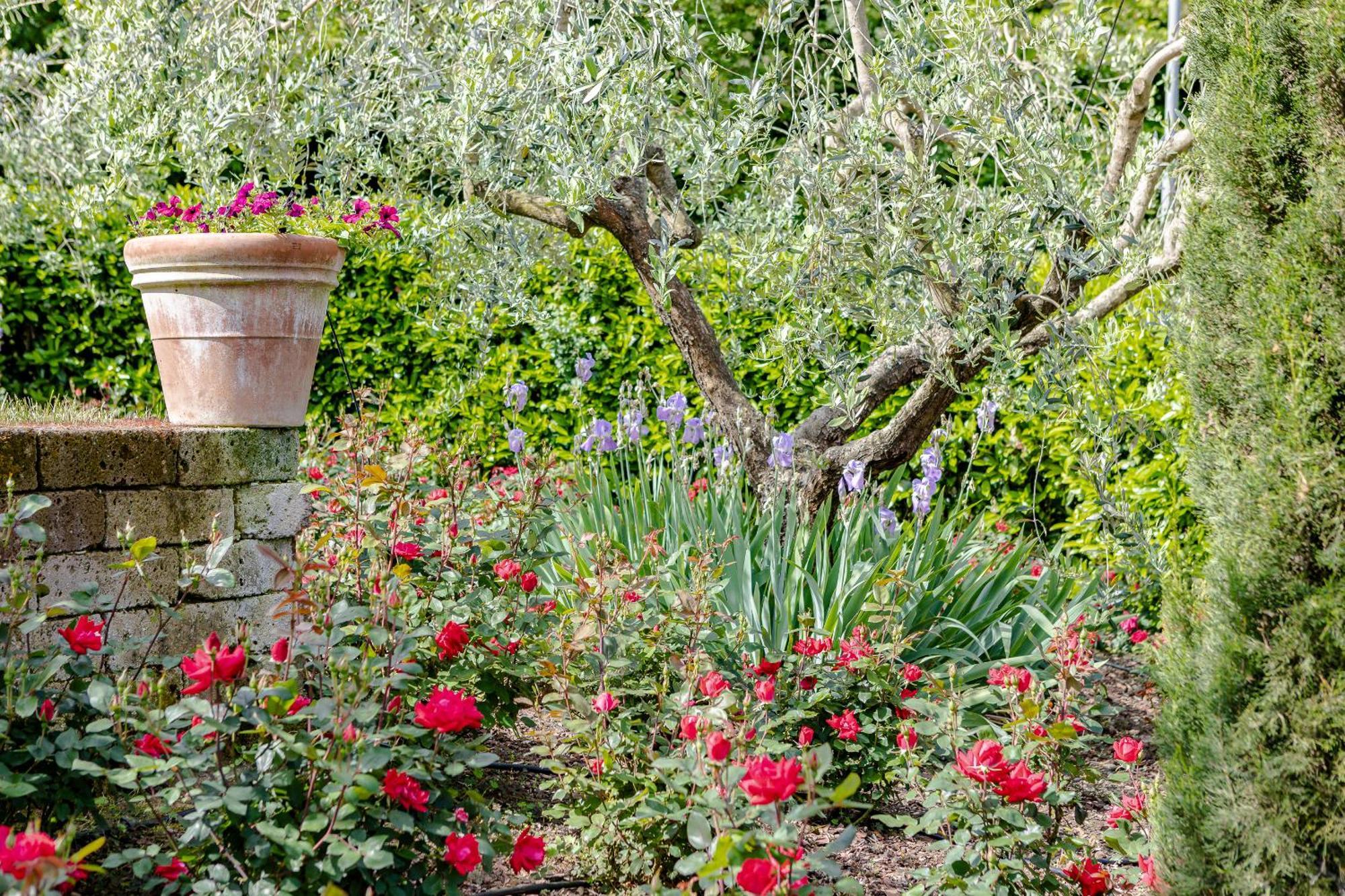 Villa Lolu Terranuova Bracciolini Buitenkant foto